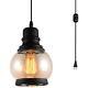 Glass Hanging Island Lights With Plug Cord On/off Dimmer Switch, Updated Edison