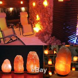 Himalayan Salt Lamp Natural Crystal Rock Shape Dimmer Switch Night Light 1-15 kg