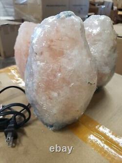 Himalayan Salt Lamp wood base with 6-foot wire and dimmer switch