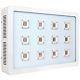 Morsen Max12 Super Bright Led Grow Light 3600w With On Off Dimmer Switch