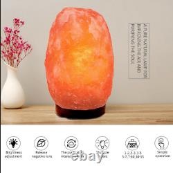 Natural Himalayan Salt Lamp Rock Shape Crystal Lamp Dimmer Switch Night Light AU