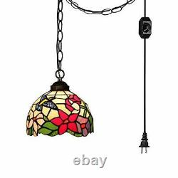 STGLIGHTING 15ft Plug-in Swag Pendant Lighting UL Dimmer Switch Cord with Iro