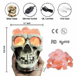 Skull Carved Statue Himalayan Salt Lamp Lights, 3D White Gray with Dimmer Switch