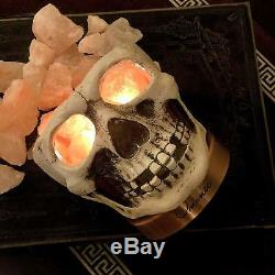 Skull Carved Statue Himalayan Salt Lamp Lights, 3D White Gray with Dimmer Switch