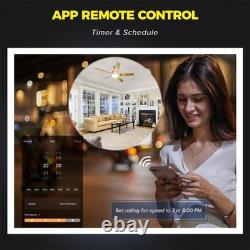 Smart Ceiling Fan Control and Light Dimmer Switch, Compatible with Alexa/Goog
