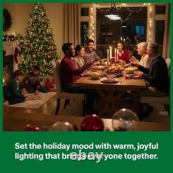 Versatile 150W Diva Dimmer Switch for 2-Pack Lighting Needs-Flicker-Free Control