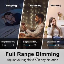 BESTTEN 10 Pack Interrupteur Dimmer à Lumière, Simple Pôle ou 3 Voies, Glissière Blanche